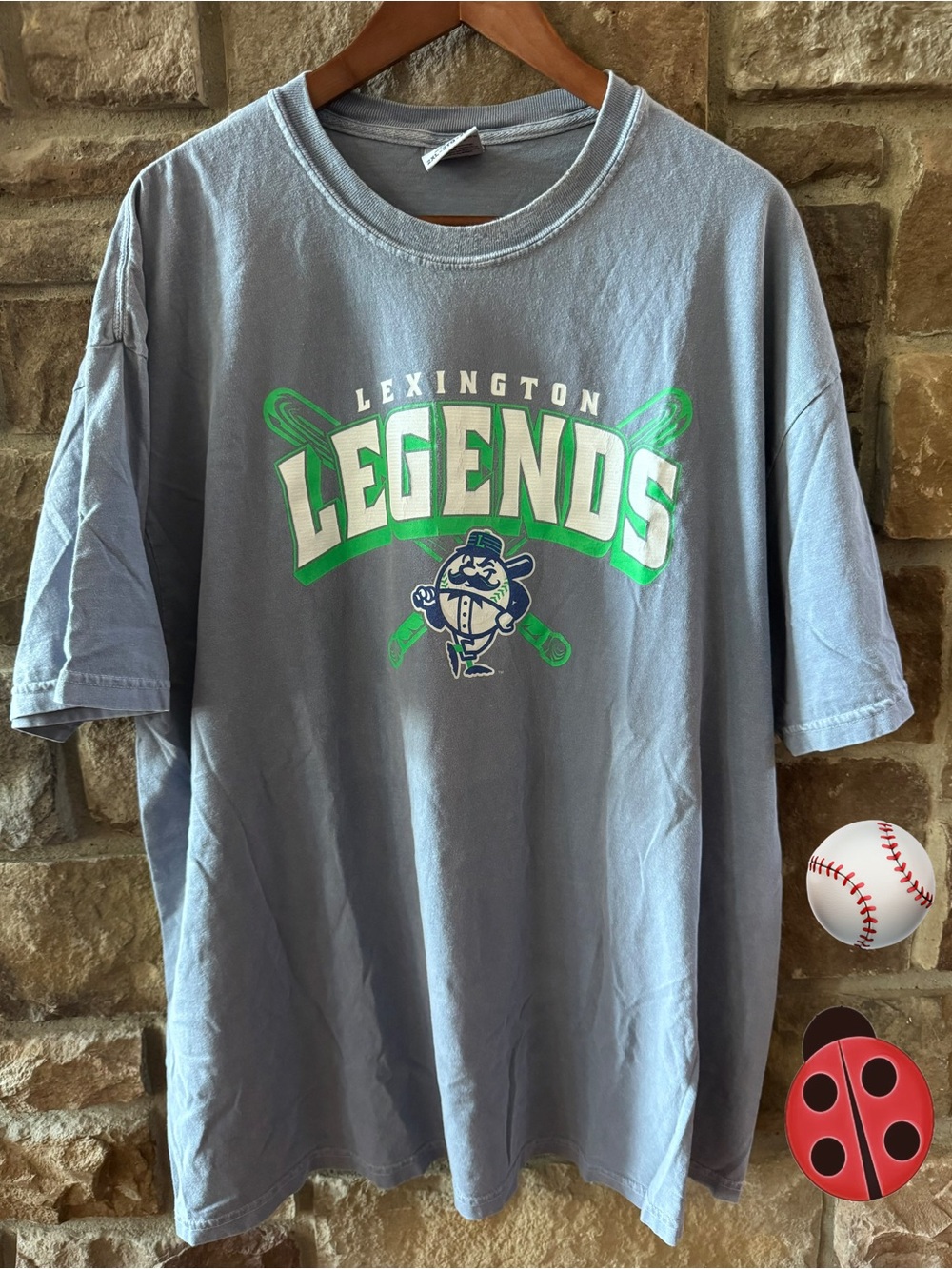 Lexington Legends Men's Gray Graphic T-Shirt XXL